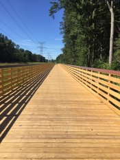 Boardwalk in a park