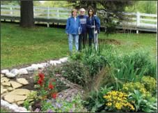 Rain Garden